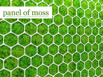 Fytowall moss 3D 2 3D model