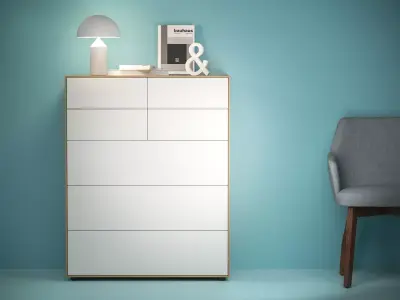 Lauki Dresser 3D model