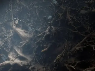 Fallen tree 3D model