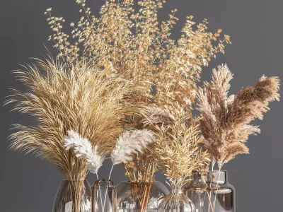 Collaction Plants Bouquet 07 Corona 3D model