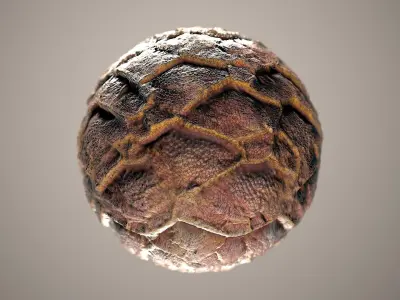 10 Materials Skin Dragon Seamless PBR Volume 8 Texture