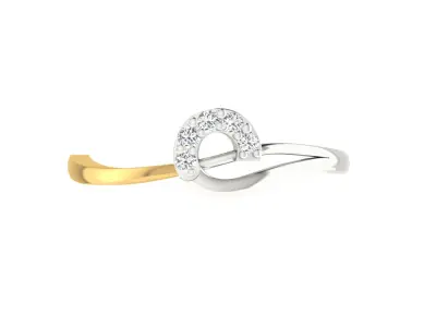 Ring - 1005 3D print model