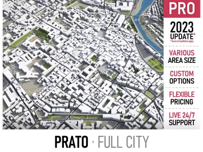 Prato Low-poly 3D model