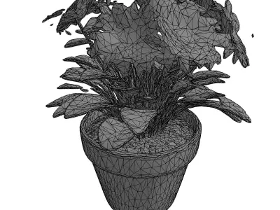 Vibrant Orange Potted Flower Low-poly 3D model