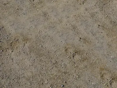 Compact Sandy Soil with Fine Pebbles  Texture