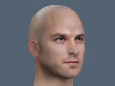 Male head Realistic Perfect Head  Low-poly 3D model