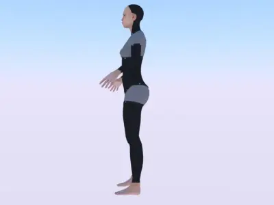 AVA Skeleton Low-poly 3D model