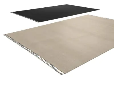 Tassels Carpet 3D model