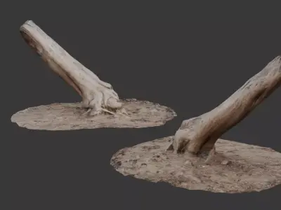 Leaning Tree Trunk Scan Low-poly 3D model