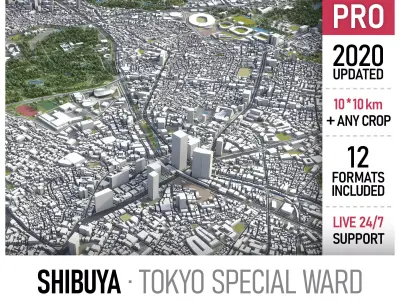Shibuya - Tokyo special ward Low-poly 3D model