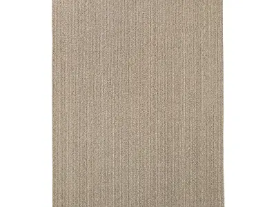 VAHAR JUTE RUG 3D model