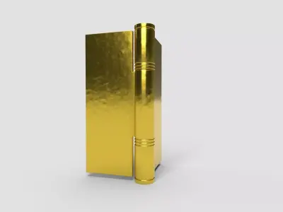 Door Hinges CG3 3D model