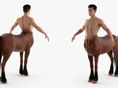 Centaur Mythical Creature A-Pose Fur 