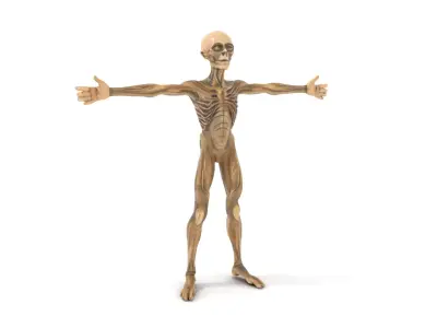 Alien Skeletal Figure model pack Low-poly 3D model