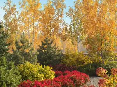 Plants Collection 2 3D model