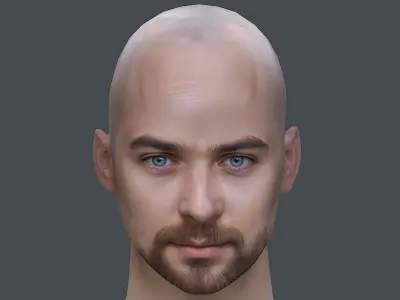 Male head Realistic Perfect Head Low-poly 3D model game ready  Low-poly 3D model