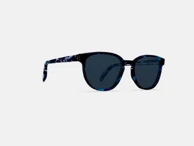 Sydney Sunglasses in Riverbed Tortoise 3D model