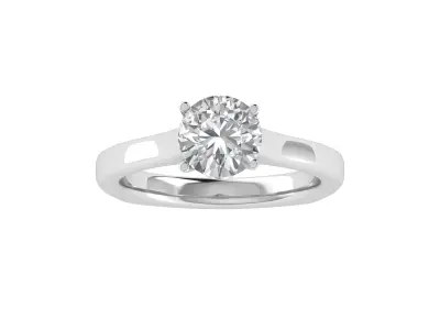 Women Ring  Render 3dm STL OBJ FBX TXT Details 3D print model 24