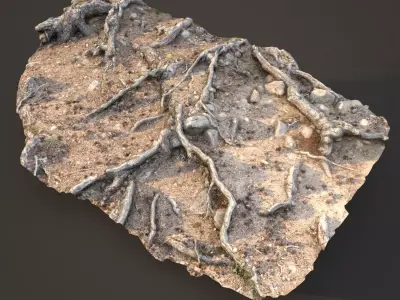 nature ground scan 001 3D model