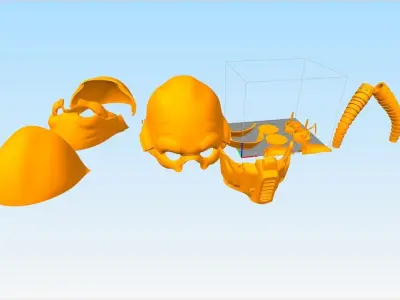 Tognath Mask  Star Wars 3D print model