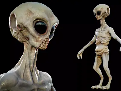 Rigged Realistic Alien 3D model