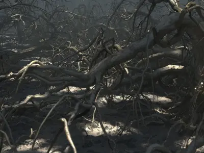 Old Forest Pack 30 3D model