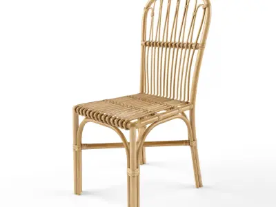 Cuprina Rattan Dining Chair Light Brown 3D model