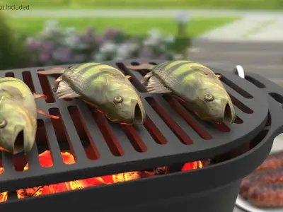  Portable Charcoal Fish Grill Black 