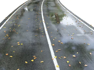 Wet road with markings 3D model