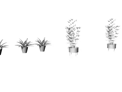 Modern Potted Plants Pack 5 plants 3D print model