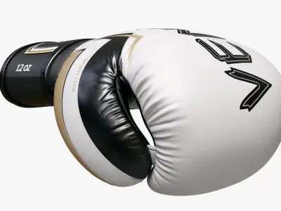  Boxing Punch Gloves Collection(1) 