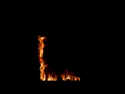 Fire combastion burn window 3D model