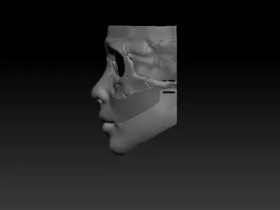 Skull mask female model 3D print model