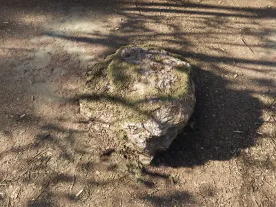Mossy Forest Rock A Single Free 3D model