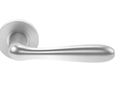 Eurospec Bulb Stainless Steel Door Handle 3D model