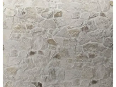 Stone Masonry Wall 06 Texture