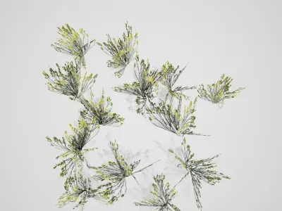 Broom Snakeweed Cluster Spring grass Low-poly 3D model