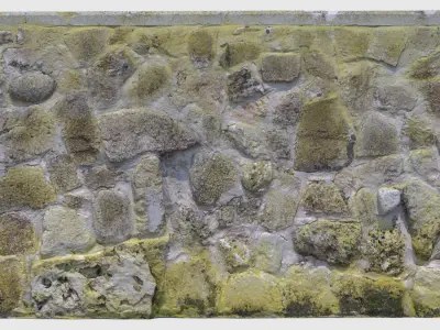 Mossy Stone Wall 3D model