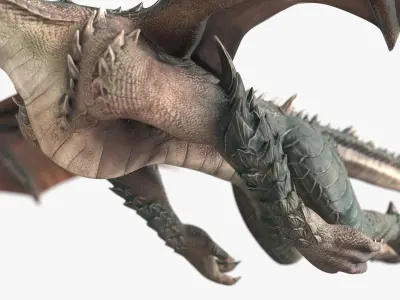  Fantasy Dragon Animated Rigged For Maya Collection 