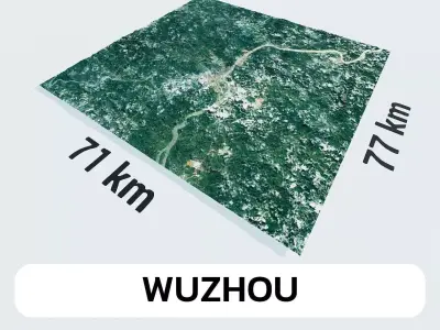 Wuzhou China City Landscape 3D Model 3D model