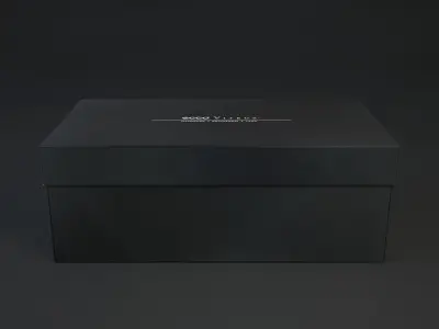 Shoe box ECCO  Free 3D model