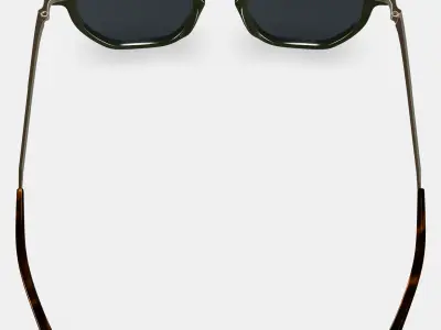 Rustin Sunglasses in Olive with Riesling 3D model