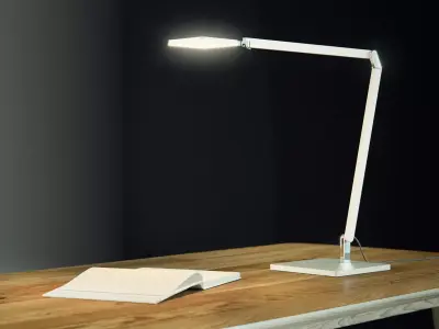 Roxxane Home 3D model