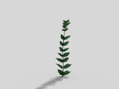 Low poly Plant Low-poly 3D model