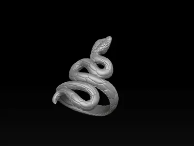 Snake Ring v3 Hollowed 3D print model