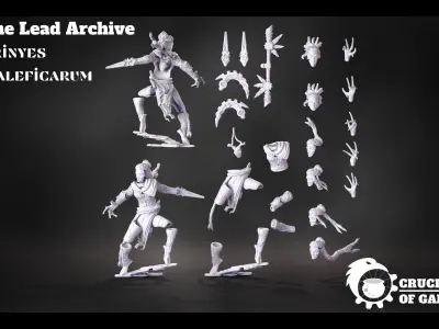 Erinyes Maleficarum pre-supported modular miniatures kit 3D print model