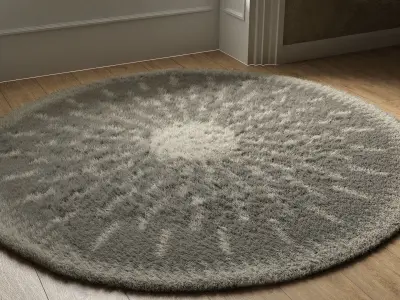 Two Modern Rugs 3D model