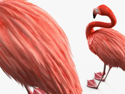  Tropical Bird Flamingo Pink 