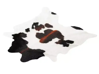 Chocolate and White Cowhide Rug 3D model