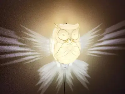 Cute Owl wall lamp 3D print model